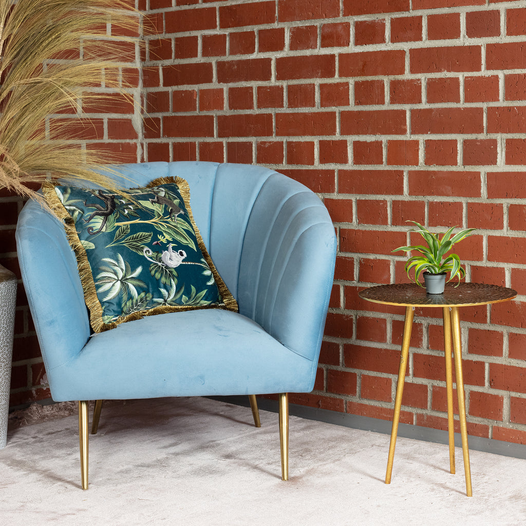 Drachenbaum Lemon Surprise - Dracaena Deremensis Fragrans Lemon Surprise - Höhe ca. 10 cm, Topf-Ø 6 cm