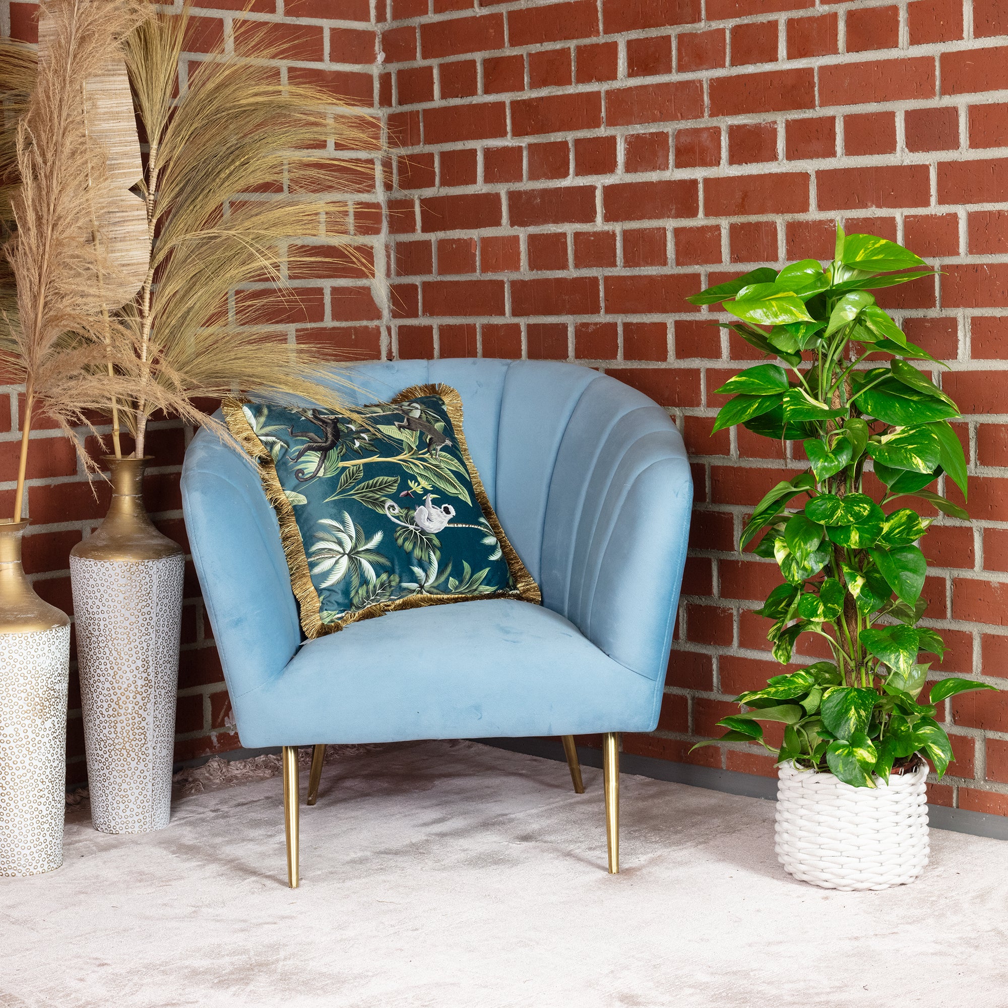 Efeutute am Moosstab - Epipremnum aureum - Höhe ca. 80 cm, Topf-Ø 19 cm