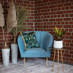 Wunderstrauch "Petra" - Codiaeum Petra - Höhe ca. 40 cm, Topf-Ø 13 cm