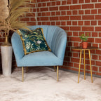 Gemeiner Efeu bunt - Hedera helix - Höhe ca. 15 cm, Topf-Ø 9 cm