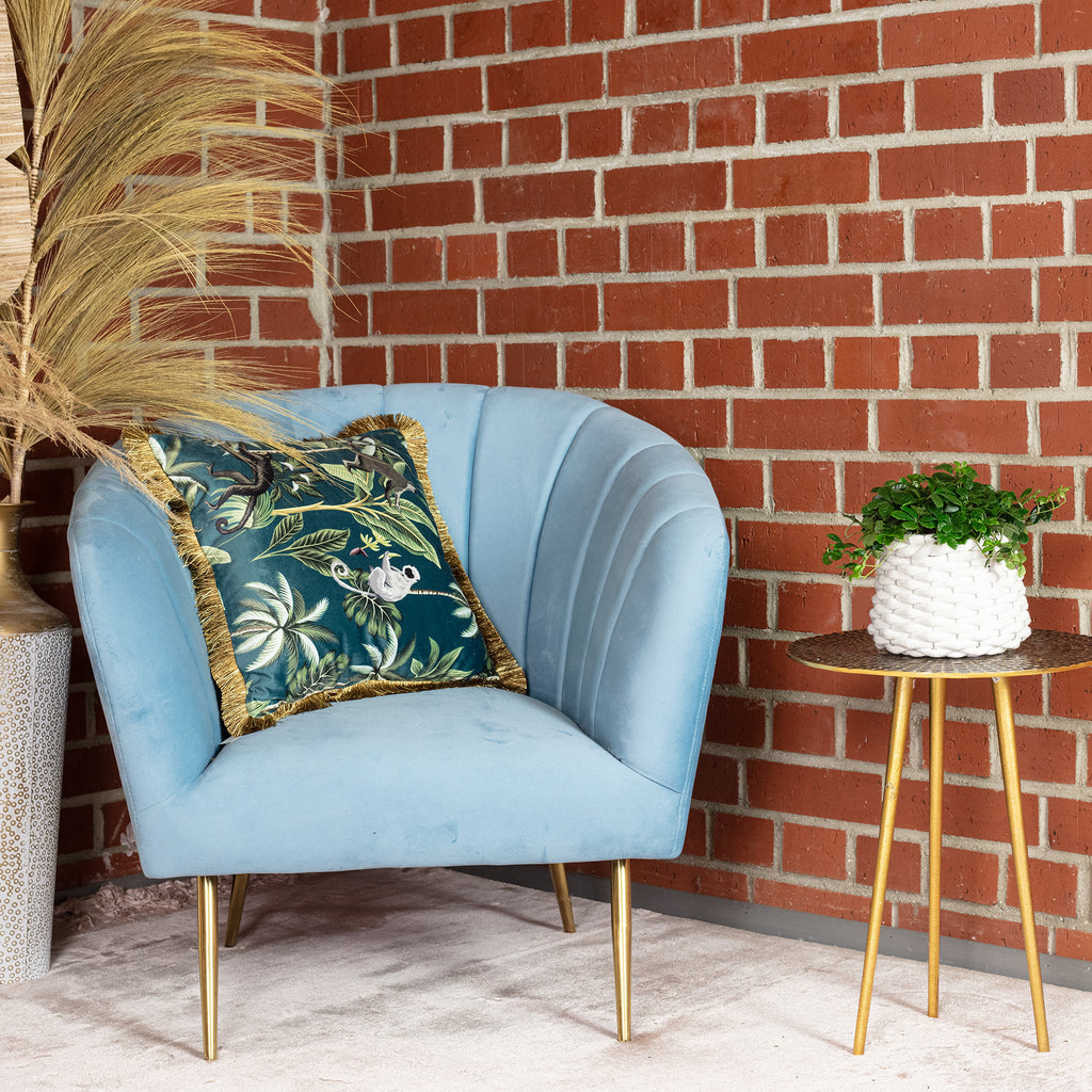 Zimmerwein 'Smit Verona Vein' - Parthenocissus striata - Höhe ca. 20 cm, Topf-Ø 10,5 cm