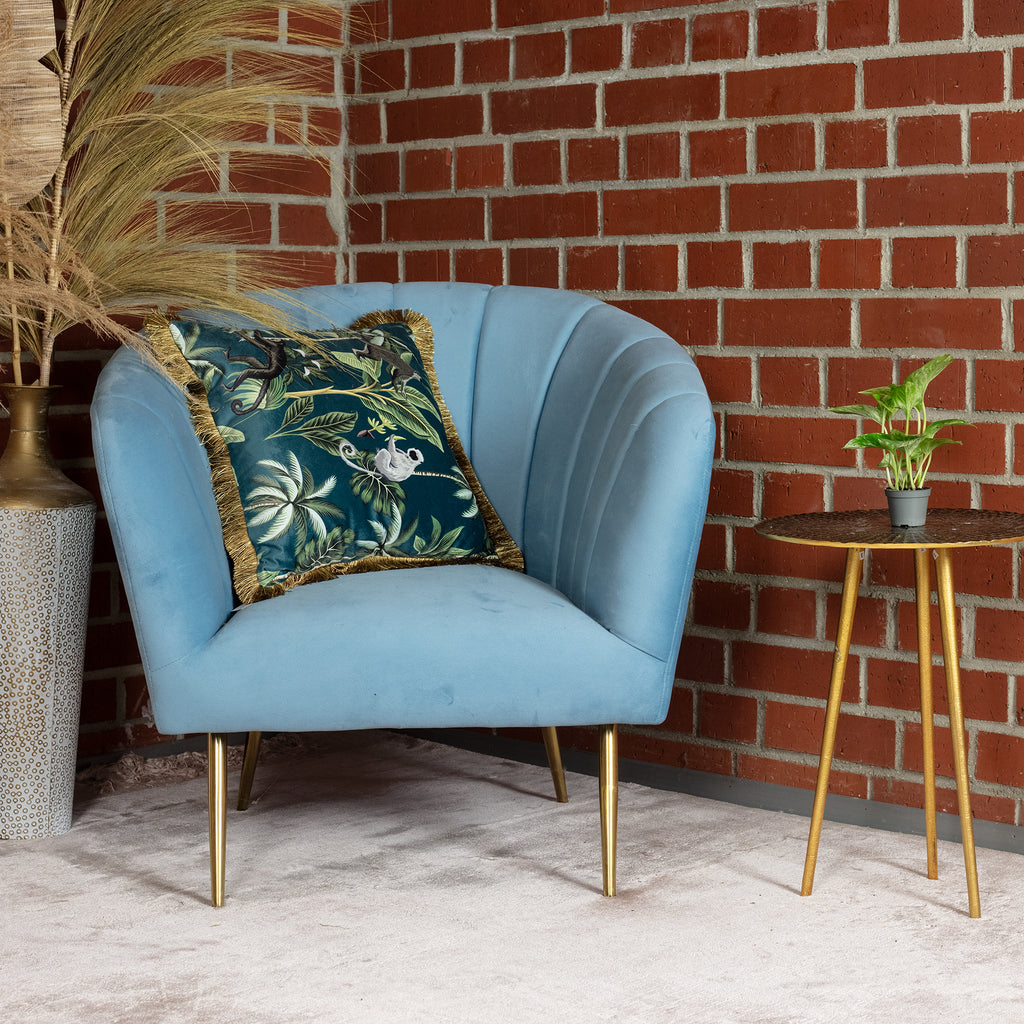 Efeutute - Epipremnum Pinnatum 'Marble Queen' - Höhe ca. 15 cm, Topf-Ø 6 cm