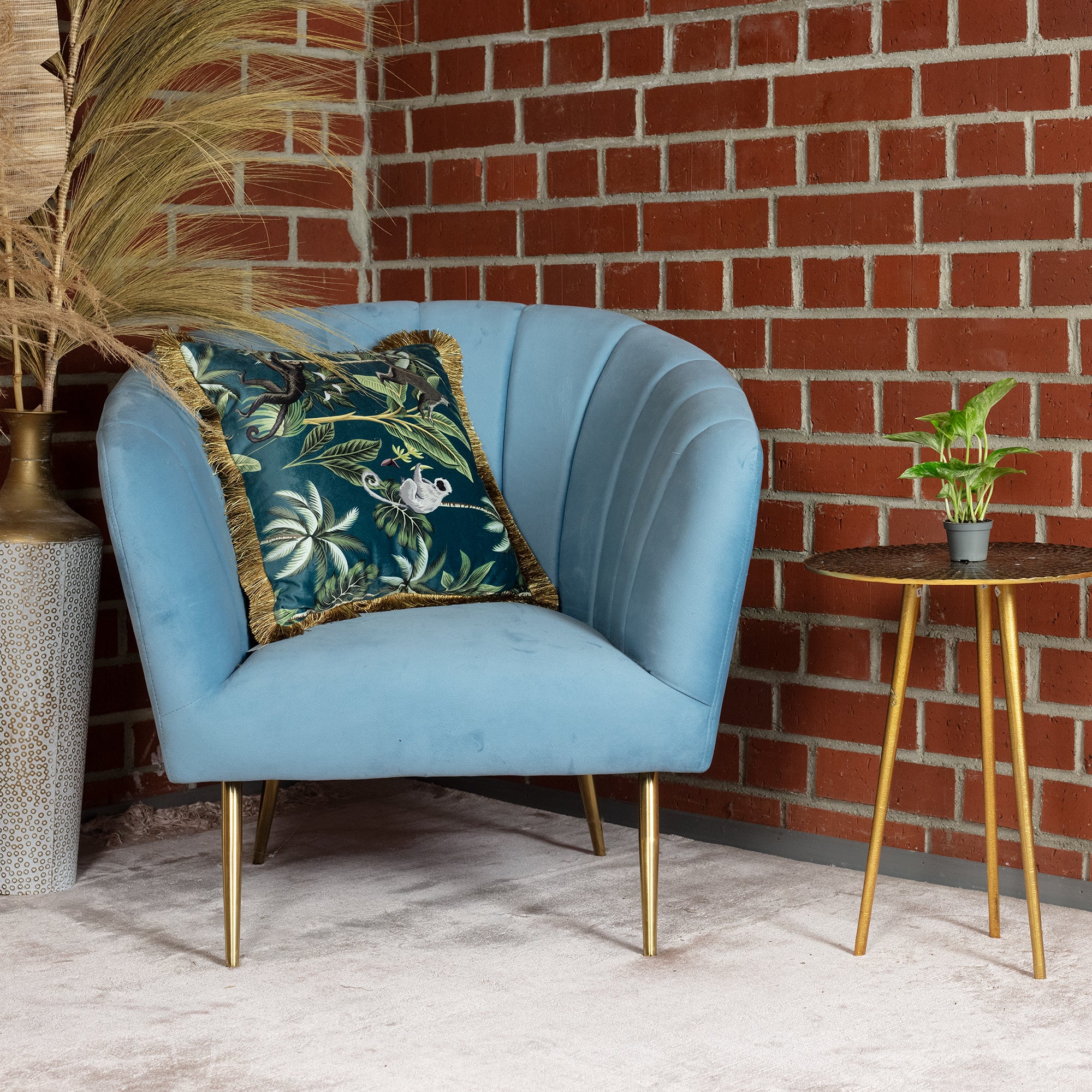 Efeutute - Epipremnum Pinnatum 'Marble Queen' - Höhe ca. 15 cm, Topf-Ø 6 cm