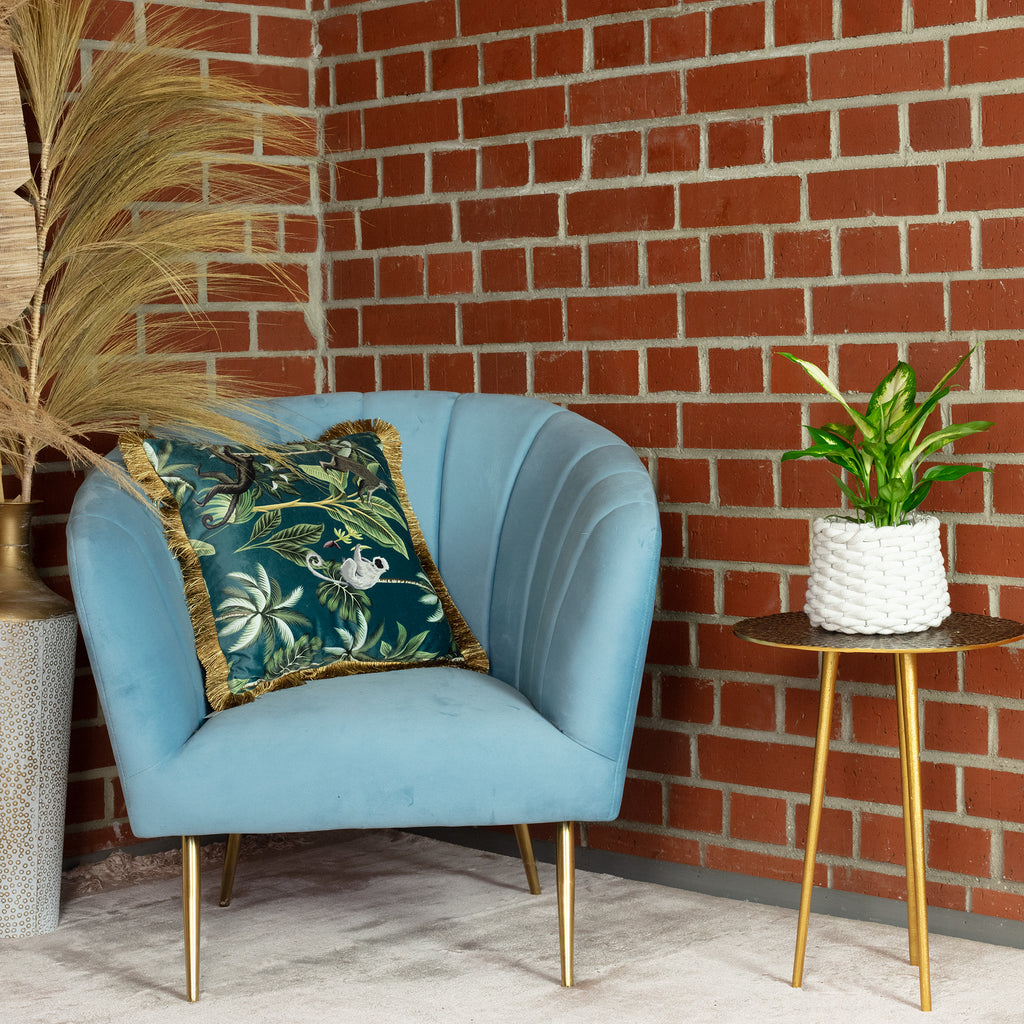 Dieffenbachie - Dieffenbachia - Höhe ca. 35 cm, Topf-Ø 12 cm