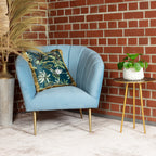 Ufopflanze - Pilea peperomioides - Höhe ca. 20 cm, Topf-Ø 14 cm