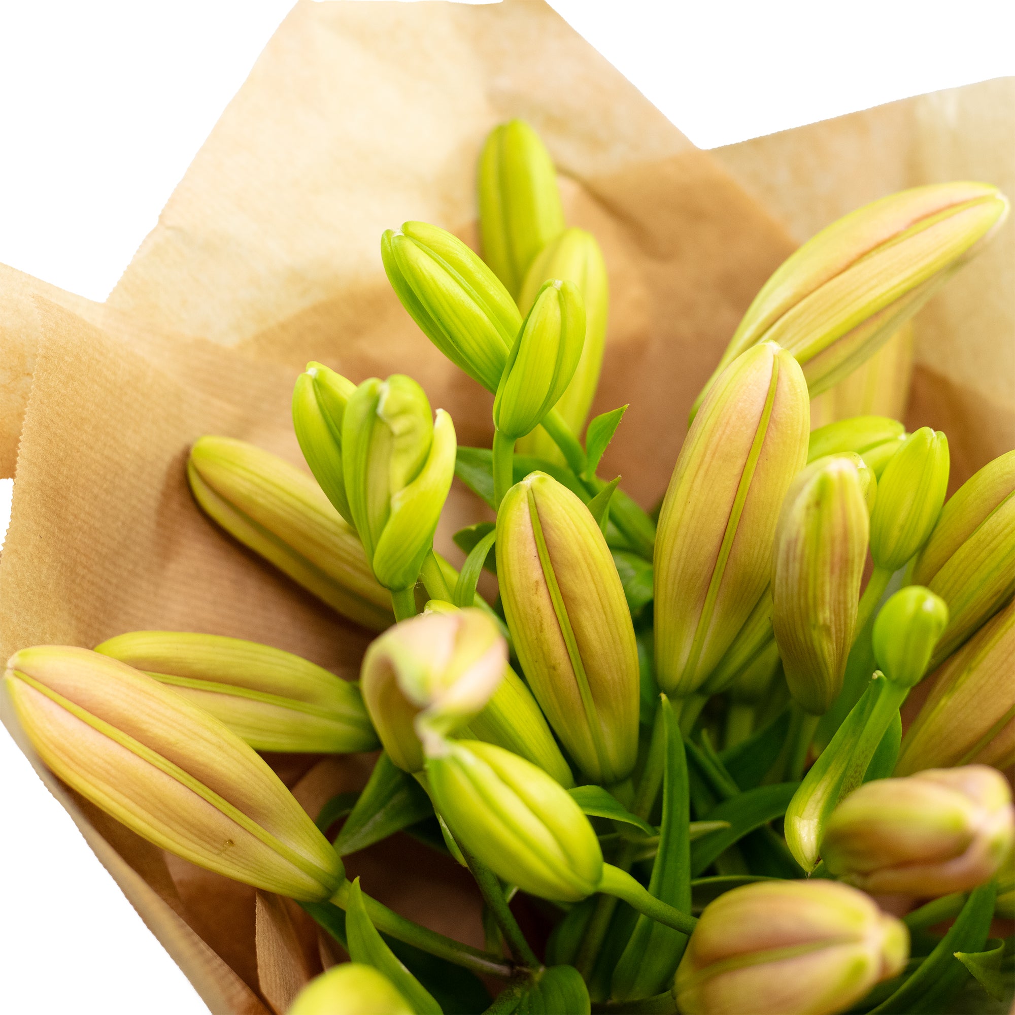 Blumenstrauß 'Lily Grace' - Länge ca. 40-50 cm - Strauß frischer Lilien