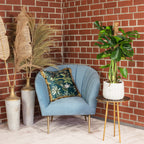 Fensterblatt am Moosstab - Monstera deliciosa - Höhe ca. 80 cm, Topf-Ø 19 cm