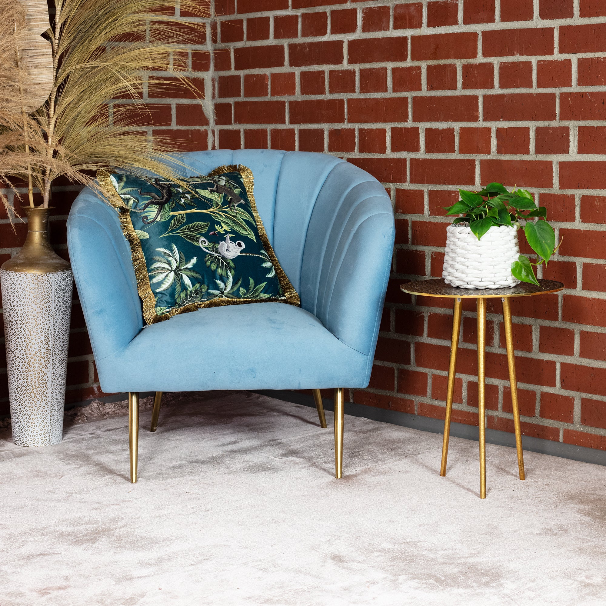 Baumfreund - Philodendron scandens - Höhe ca. 20 cm, Topf-Ø 12 cm