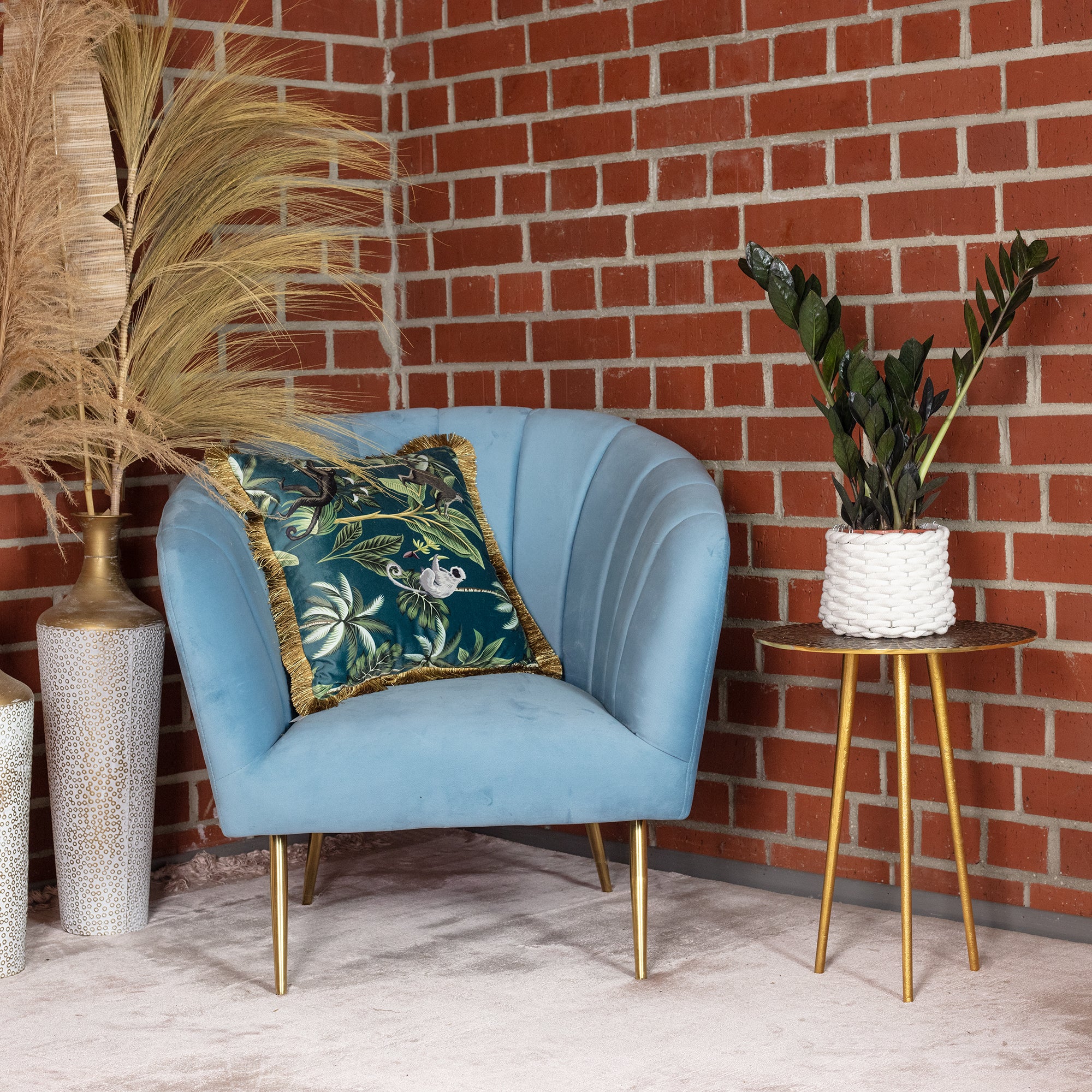 Glücksfeder 'Raven' 4+ - schwarze Zamioculcas zamiifolia - Höhe ca. 35 cm, Topf-Ø 14 cm