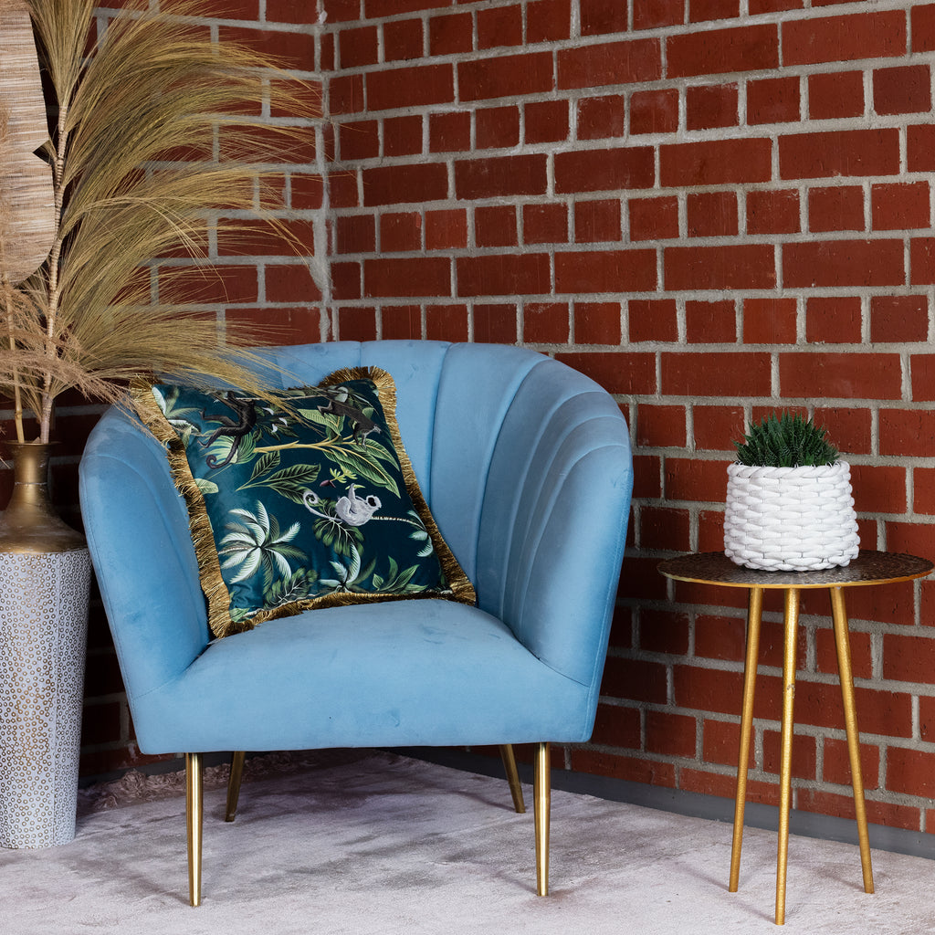 Aloe - Aloe aristata 'magic rocks' - Höhe ca. 20 cm, Topf-Ø 12 cm