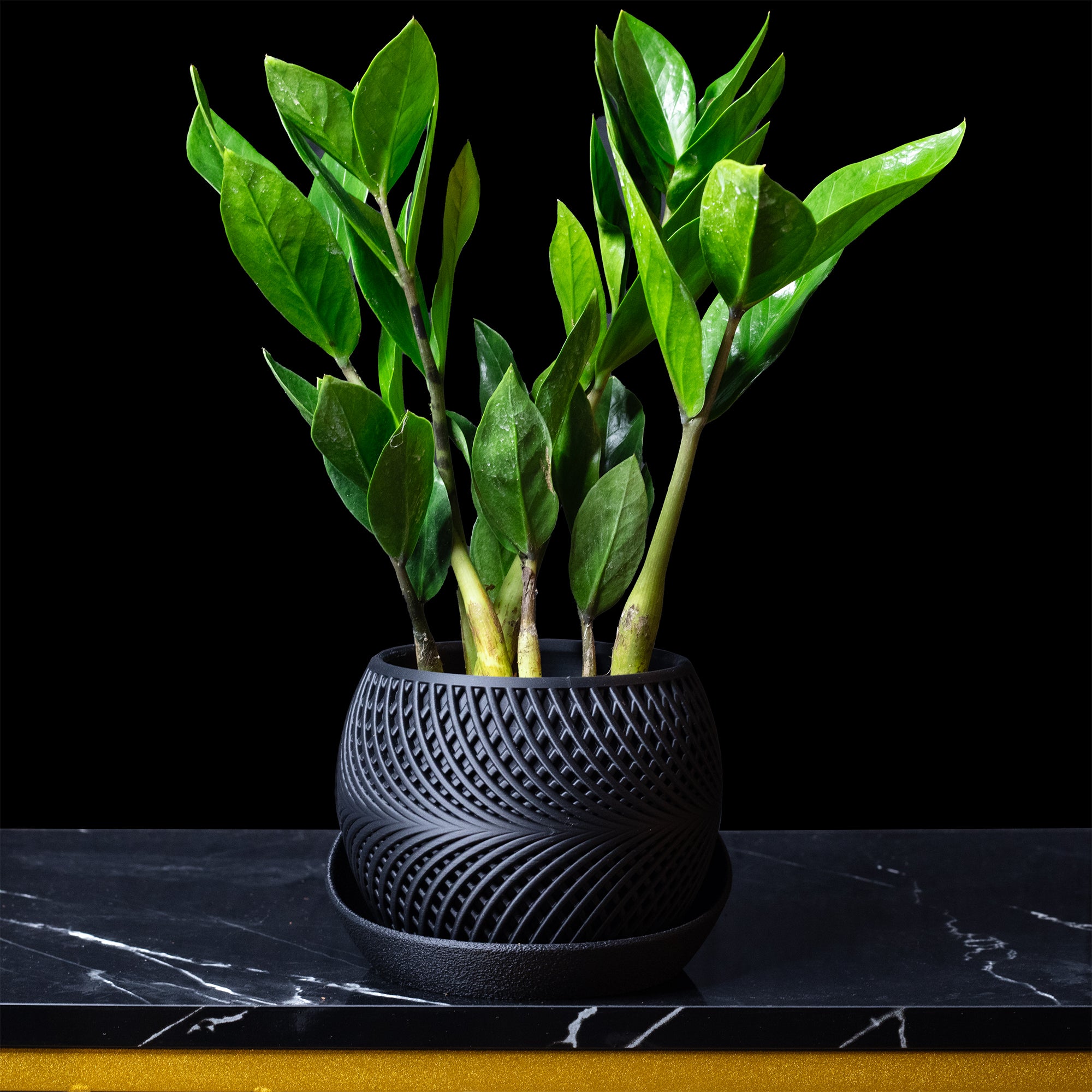 Modern Planter 'Drift' – Decorative Flower Pot for Indoor Plants