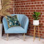 Geigenfeige - Ficus Lyrata Bambino - Höhe ca. 35 cm, Topf-Ø 12 cm