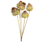 Artischocke am Stiel - 5 Stück - natur