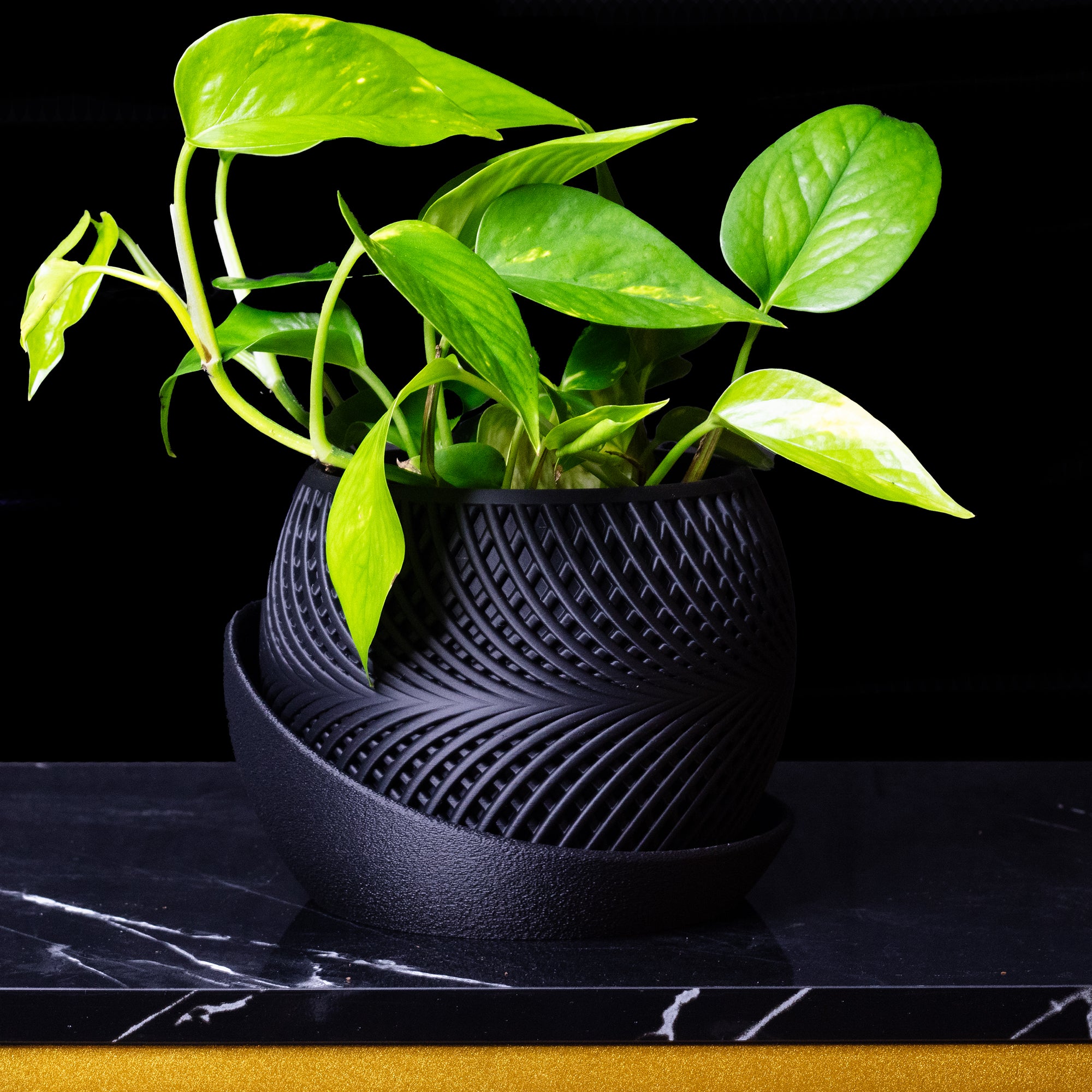 Modern Planter 'Drift' – Decorative Flower Pot for Indoor Plants