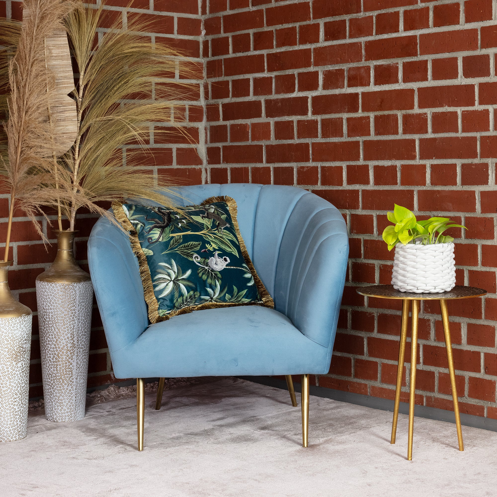 Efeutute - Epipremnum pinnatum 'Golden Pothos' - Höhe ca. 15 cm, Topf-Ø 12 cm