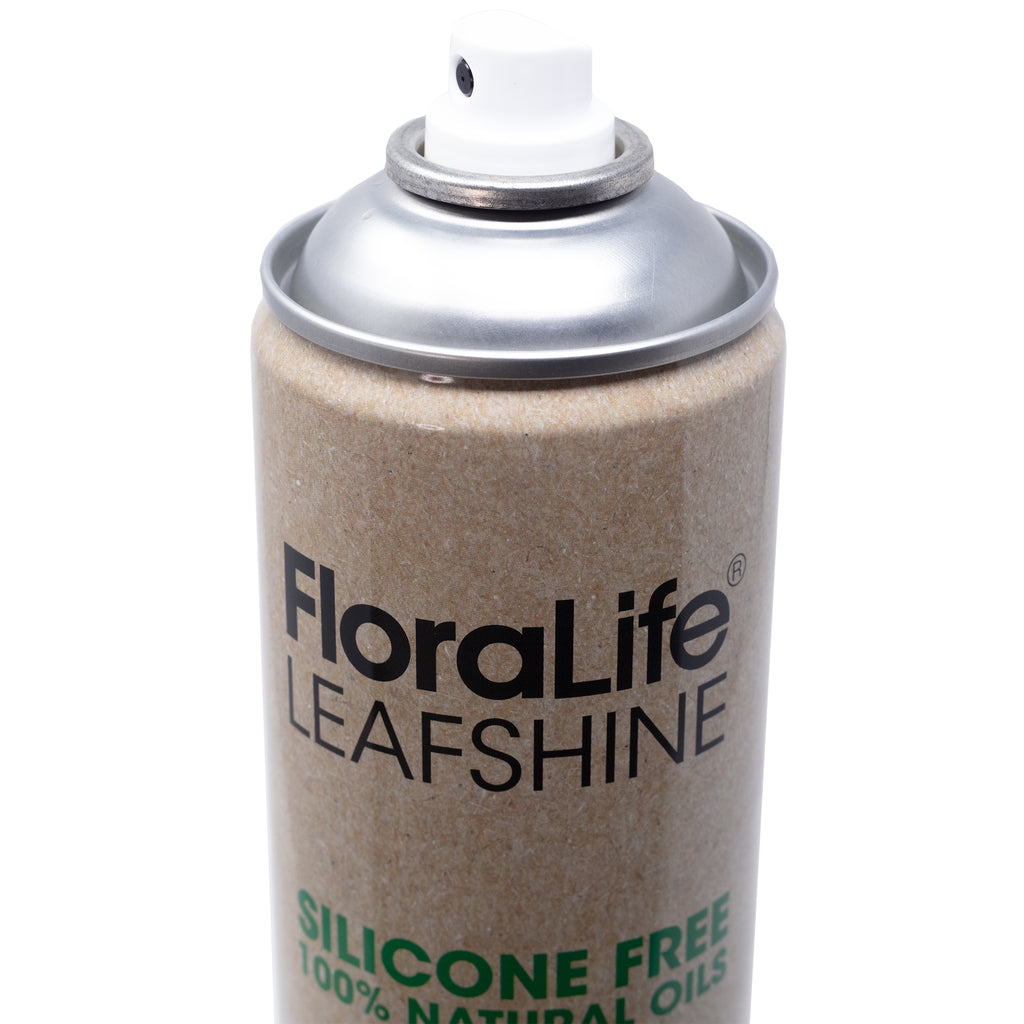 FLORALIFE® Blattglanz ohne Silikone - 750 ml - 1 Stück