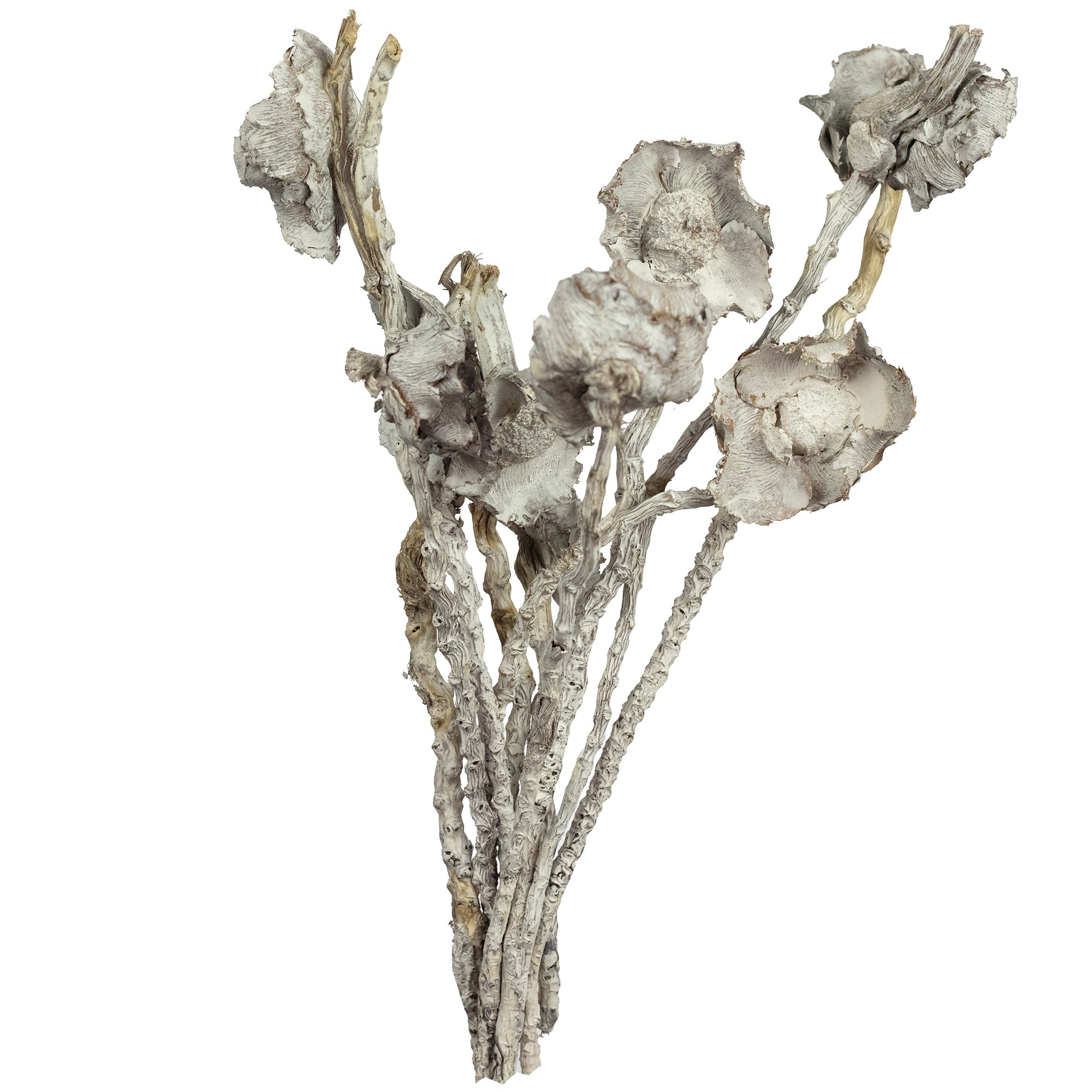 Coco Flower am Stiel - 10 Stück - frost-weiß