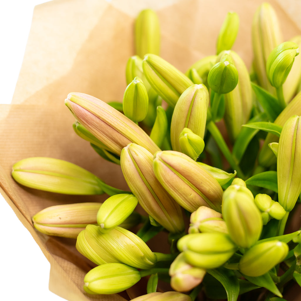 Blumenstrauß 'Lily Grace' - Länge ca. 50-60 cm - Strauß frischer Blumen