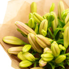 Blumenstrauß 'Lily Grace' - Länge ca. 50-60 cm - Strauß frischer Lilien