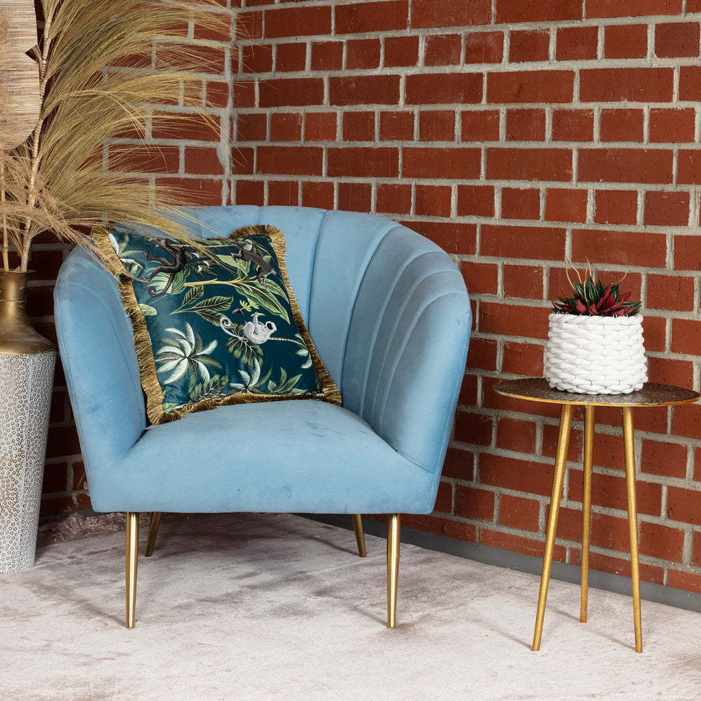 Zwergpfeffer "Smit Rosso" - Peperomia - Höhe ca. 15 cm, Topf-Ø 10,5 cm