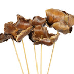 Palmblüte am Stiel - lackiert - 5 Stück - natur