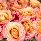 Blumenstrauß 'Miss Elegance' - Stiellänge ca. 50 cm - Strauß frischer Rosen