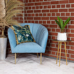 Palmfarn 6+ Wedel - Cycas revoluta - Höhe ca. 25 cm, Topf-Ø 12 cm