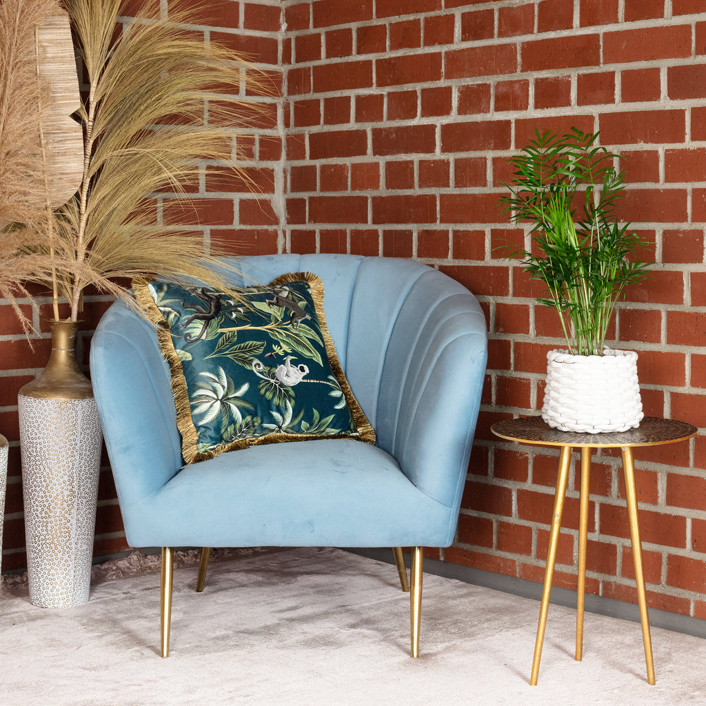 Bergpalme - Chamaedorea elegans - Höhe ca. 35 cm, Topf-Ø 12 cm