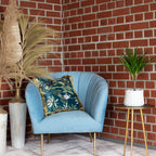 Drachenbaum - Dracaena Marginata - Höhe ca. 35 cm, Topf-Ø 12 cm