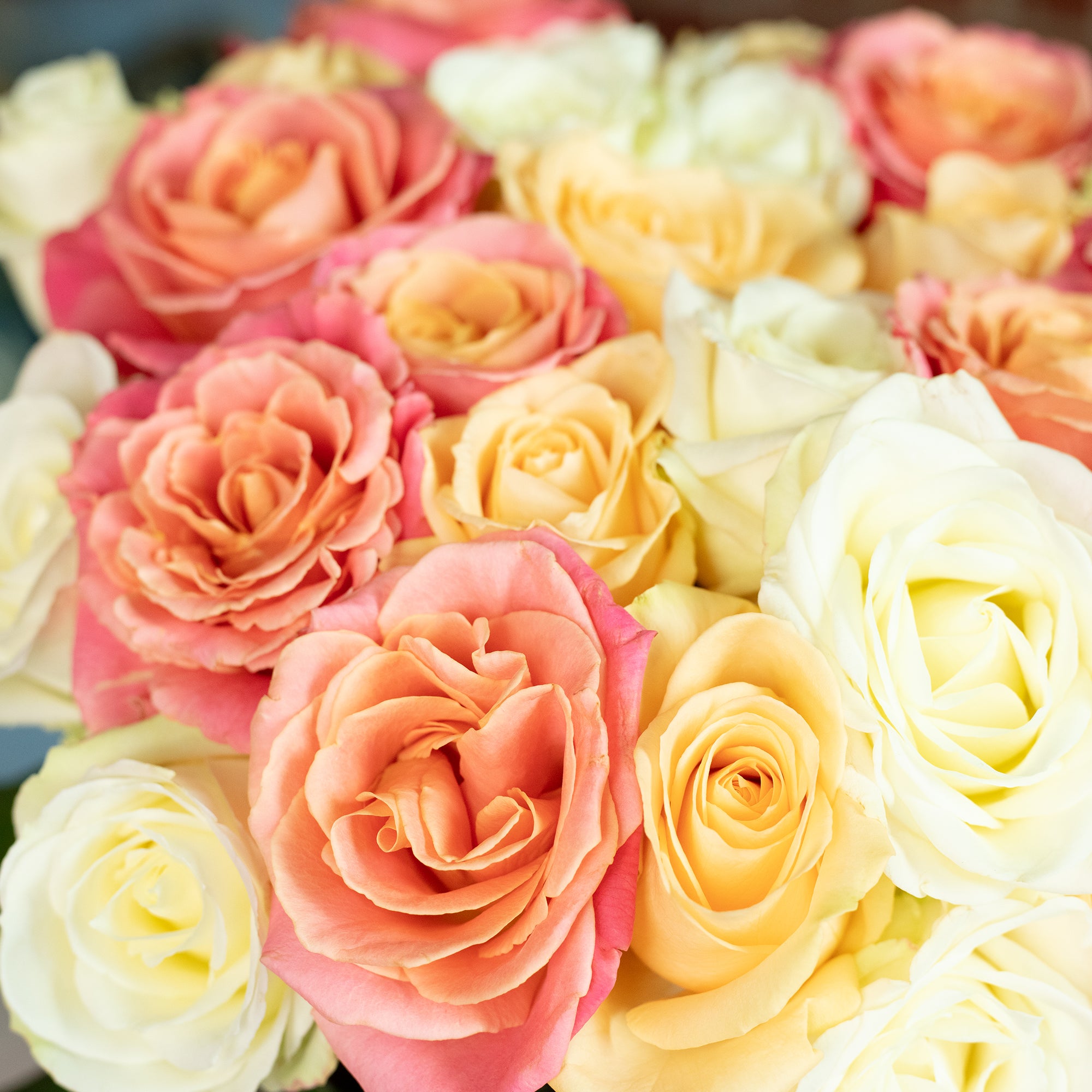 Blumenstrauß  'Pastel Poetry'  - Stiellänge ca. 50 cm