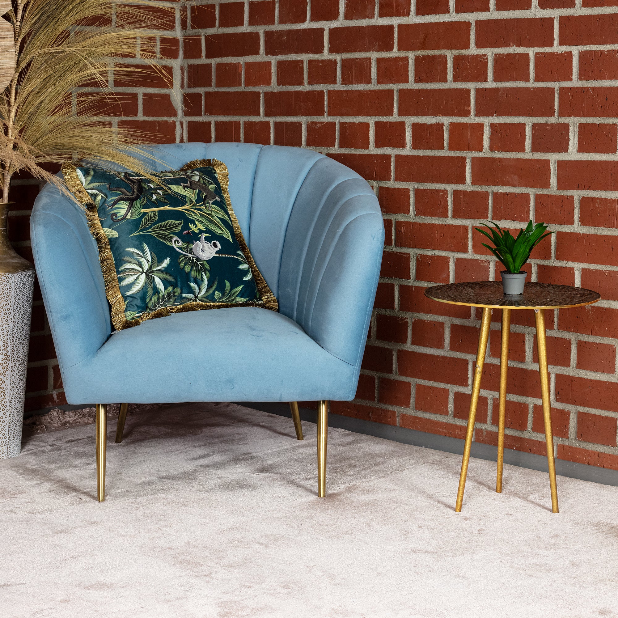 Drachenbaum Janet Craig - Dracaena Deremensis Janet Craig - Höhe ca. 15 cm, Topf-Ø 6 cm