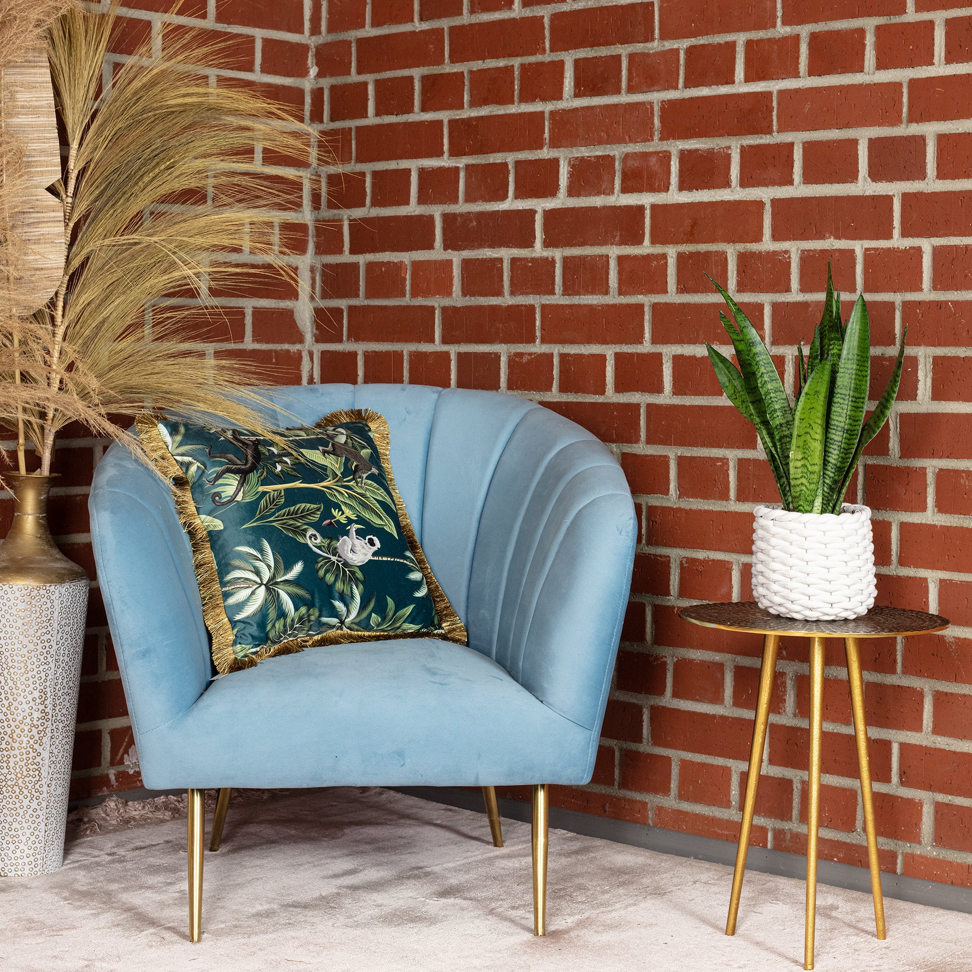 Bogenhanf - Sansevieria zeylanica - Höhe ca. 45 cm, Topf-Ø 14 cm