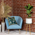 Gummibaum 1-stämmig - Ficus elastica 'Robusta' - Höhe ca. 70 cm, Topf-Ø 21 cm