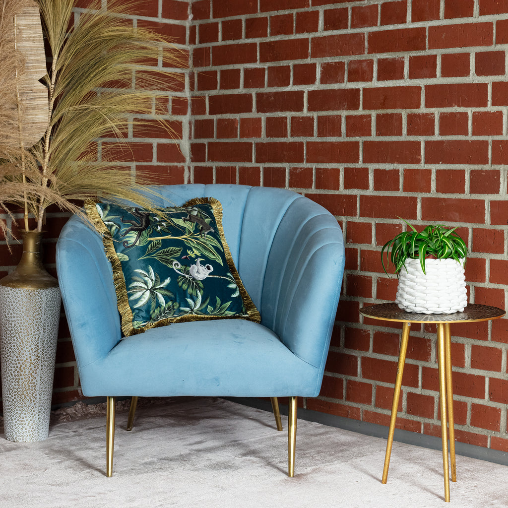 Grünlilie 'Bonnie' - Chlorophytum Comosum - Höhe ca. 25 cm, Topf-Ø 12 cm