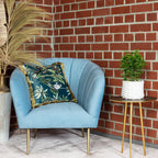 Birkenfeige "Natasja" verzweigt - Ficus benjamini - Höhe ca. 30 cm, Topf-Ø 12 cm