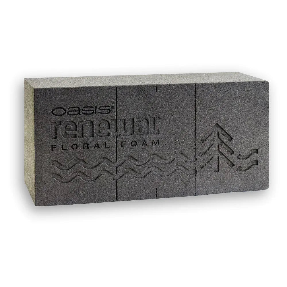 Briques de mousse florale OASIS® Renewal™ - 12 pièces par boîte