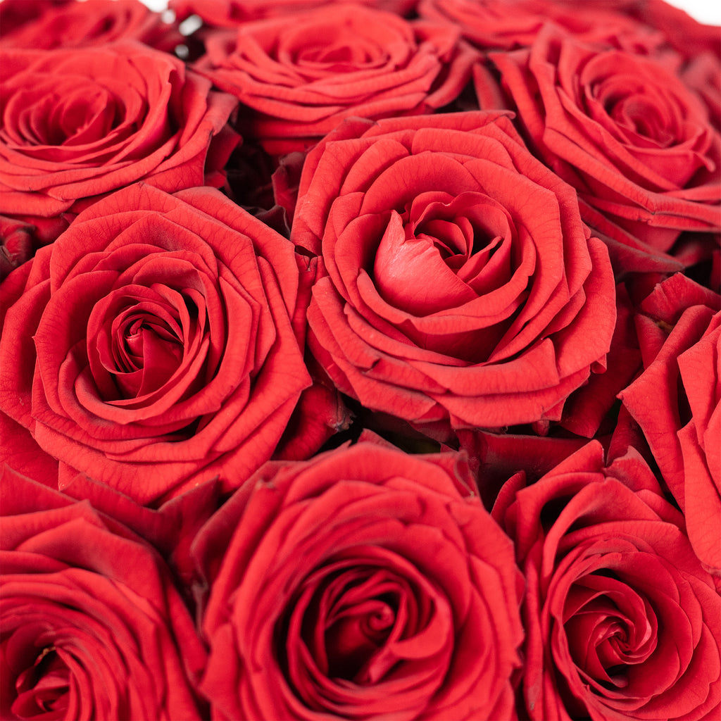 Blumenstrauß  'Red Passion'  - Stiellänge ca. 50 cm - Strauß frischer roter Rosen