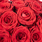 Blumenstrauß  'Red Passion'  - Stiellänge ca. 50 cm - Strauß frischer roter Rosen